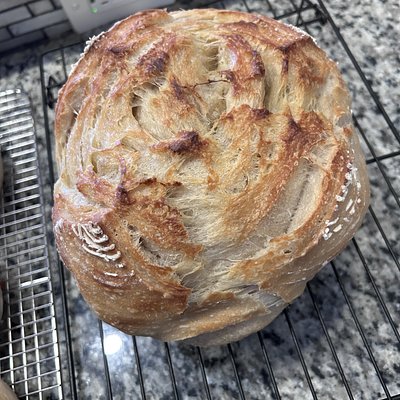 Butter Croissant Sourdough Round Loaf 