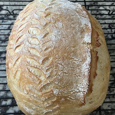 Classic Sourdough Loaf