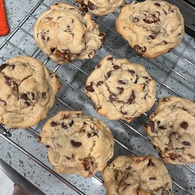 Chocolate Chip