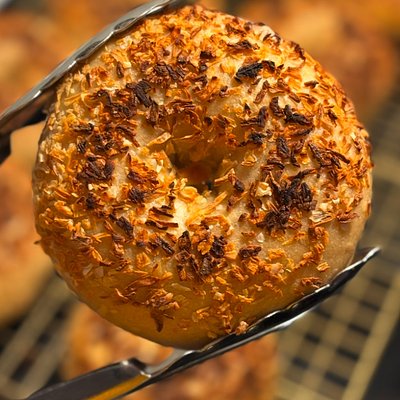 Sourdough Onion Bagel •6•