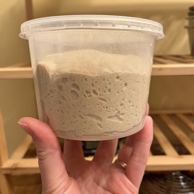 Sourdough Pizza Dough - 8-10” Pizza