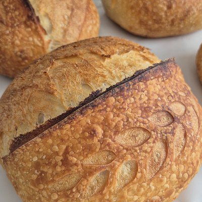 Classic Sourdough Batard