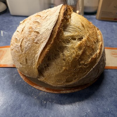 Classic Sourdough