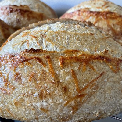 Parmesan & Roasted Garlic Sourdough