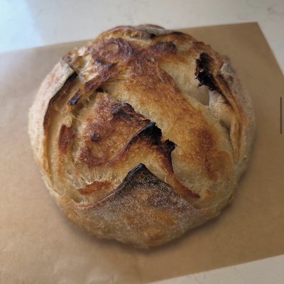 Croissant Sourdough loaf 