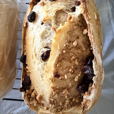 cranberry walnut sourdough | pan masa madre con arándanos y nuez  