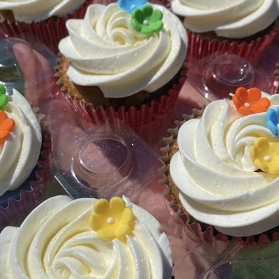 Basic Cupcakes 