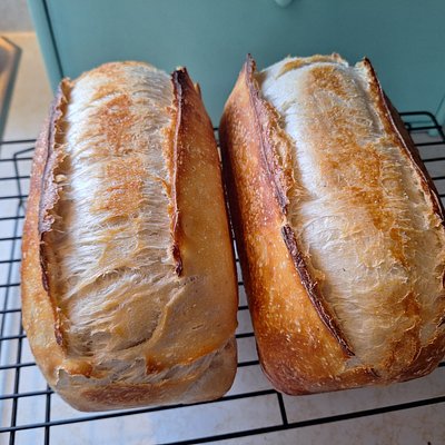 Classic Sourdough Loaf