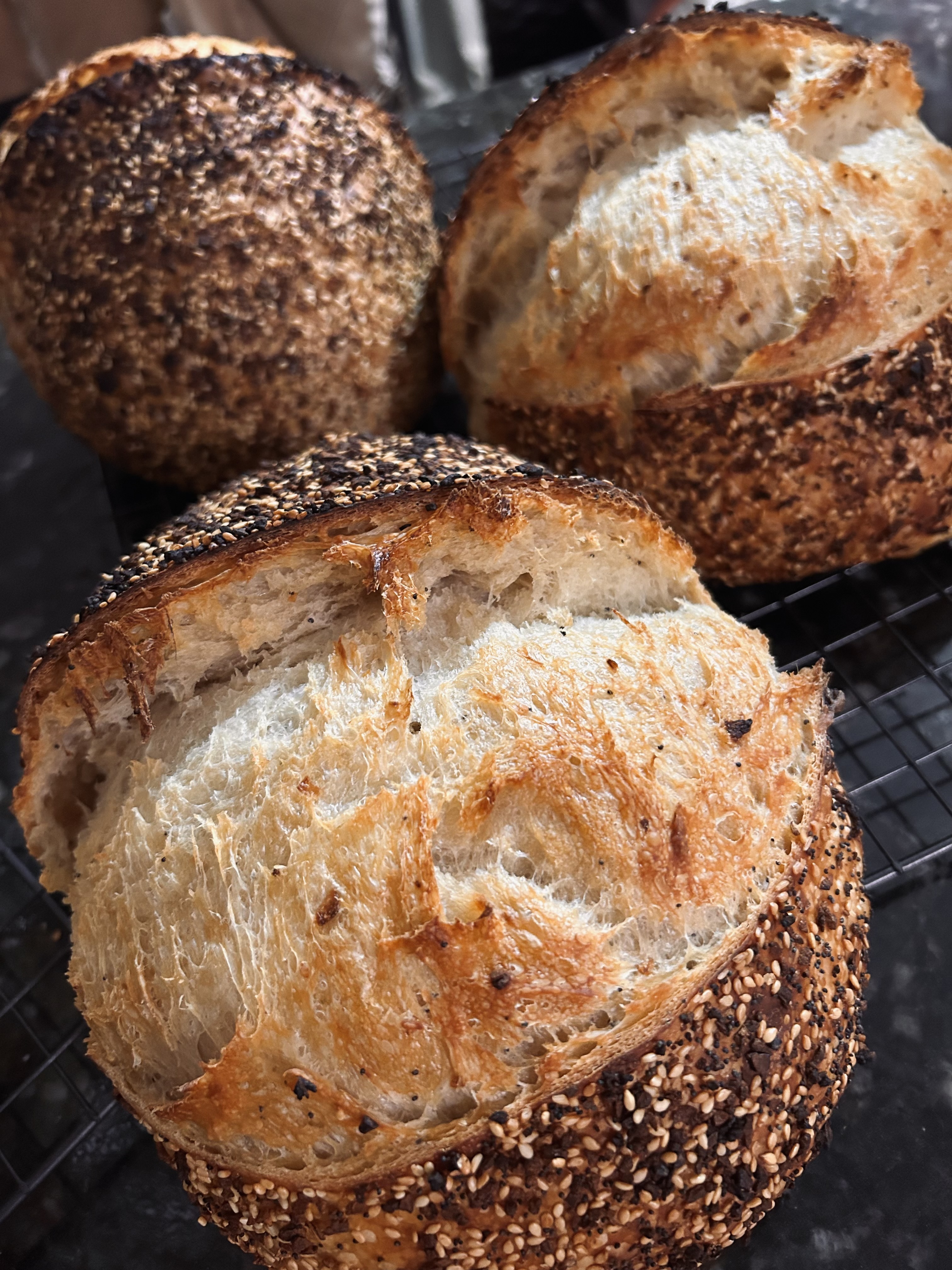 Everything Bagel Sourdough Loaf