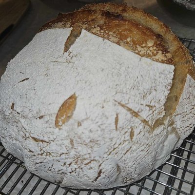 Sourdough Boule Plain