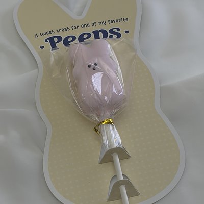 A Sweet Treat For One Of My Peeps (single)