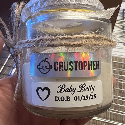 Sourdough Starter (Active Cultures)