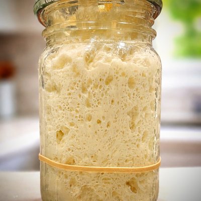 Sourdough Starter 