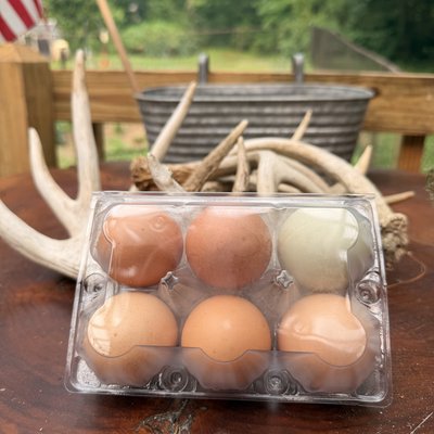 Fresh, Pasture Raised Eggs 