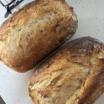 Regular Sourdough 