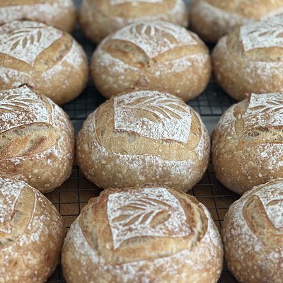 Original Sourdough Boule