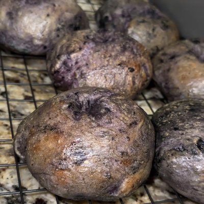 Blueberry Sourdough Bagels 