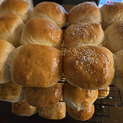 Sourdough Hamburger Buns-6 Pack