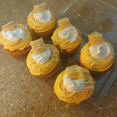 6 Boston Cream Cupcakes 