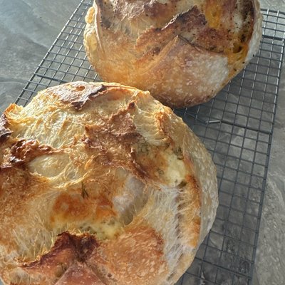Half Loaf | Cheddar