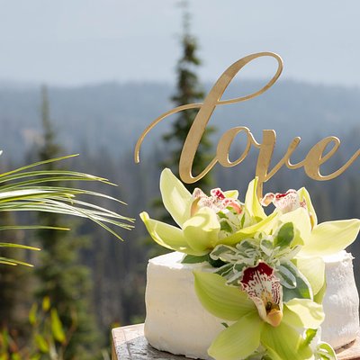 Cake Or Cup Cake Inquiry 