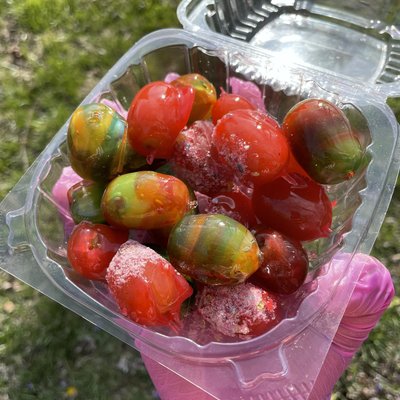 20 Candy Grapes (1/2 Fruit Roll Up & Half Regular *Pick Flavor For Regular ) 