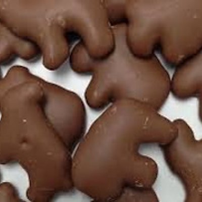 8 oz. Chocolate Covered Animal Crackers