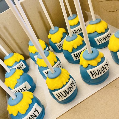 Chocolate Covered Cake Pops/Cakesicles