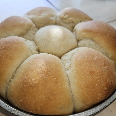 Sourdough Dinner Rolls Qty 12