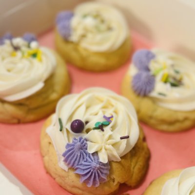 One Dozen Decorated Sugar Cookies