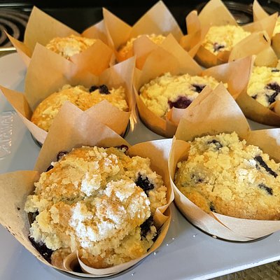 Sourdough Lemon Blueberry Muffins