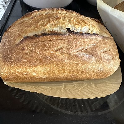 Whole Wheat Sourdough Bread 