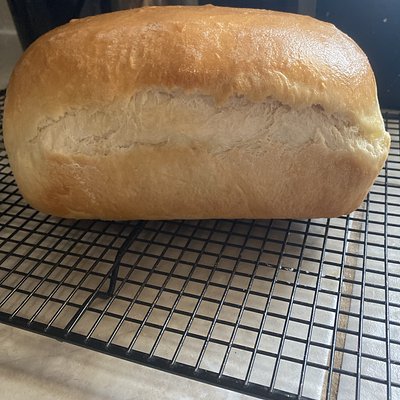Sandwich Bread 