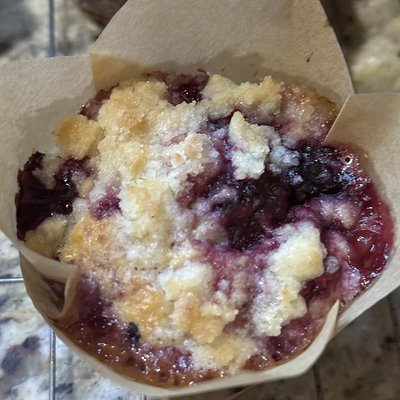 Blueberry Streusel Sourdough Muffins (6)