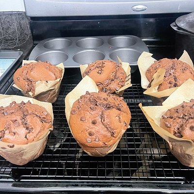 Sourdough Jumbo Double Chocolate Chip Muffins 