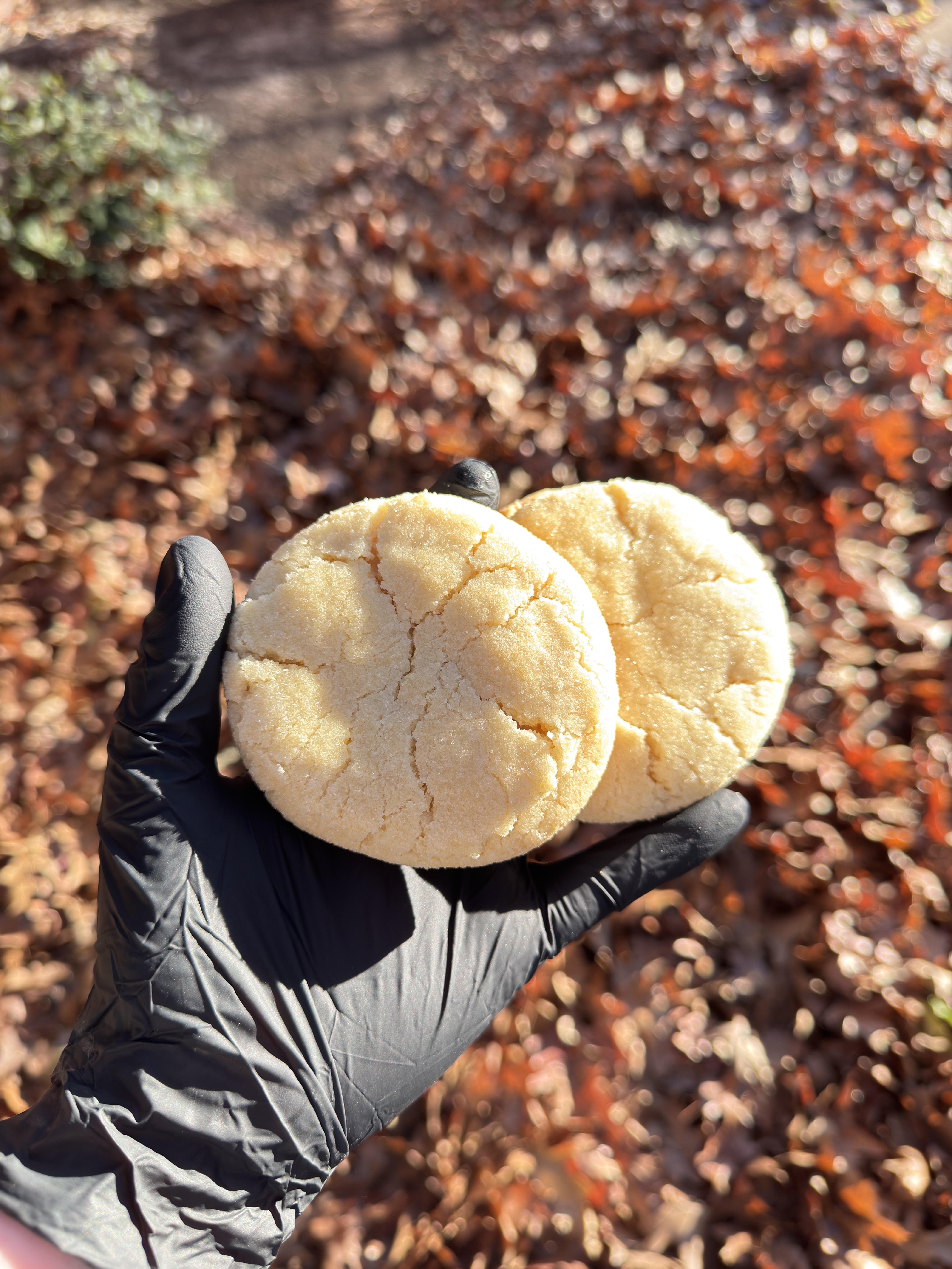 Gourmet Sugar Cookie (Single)
