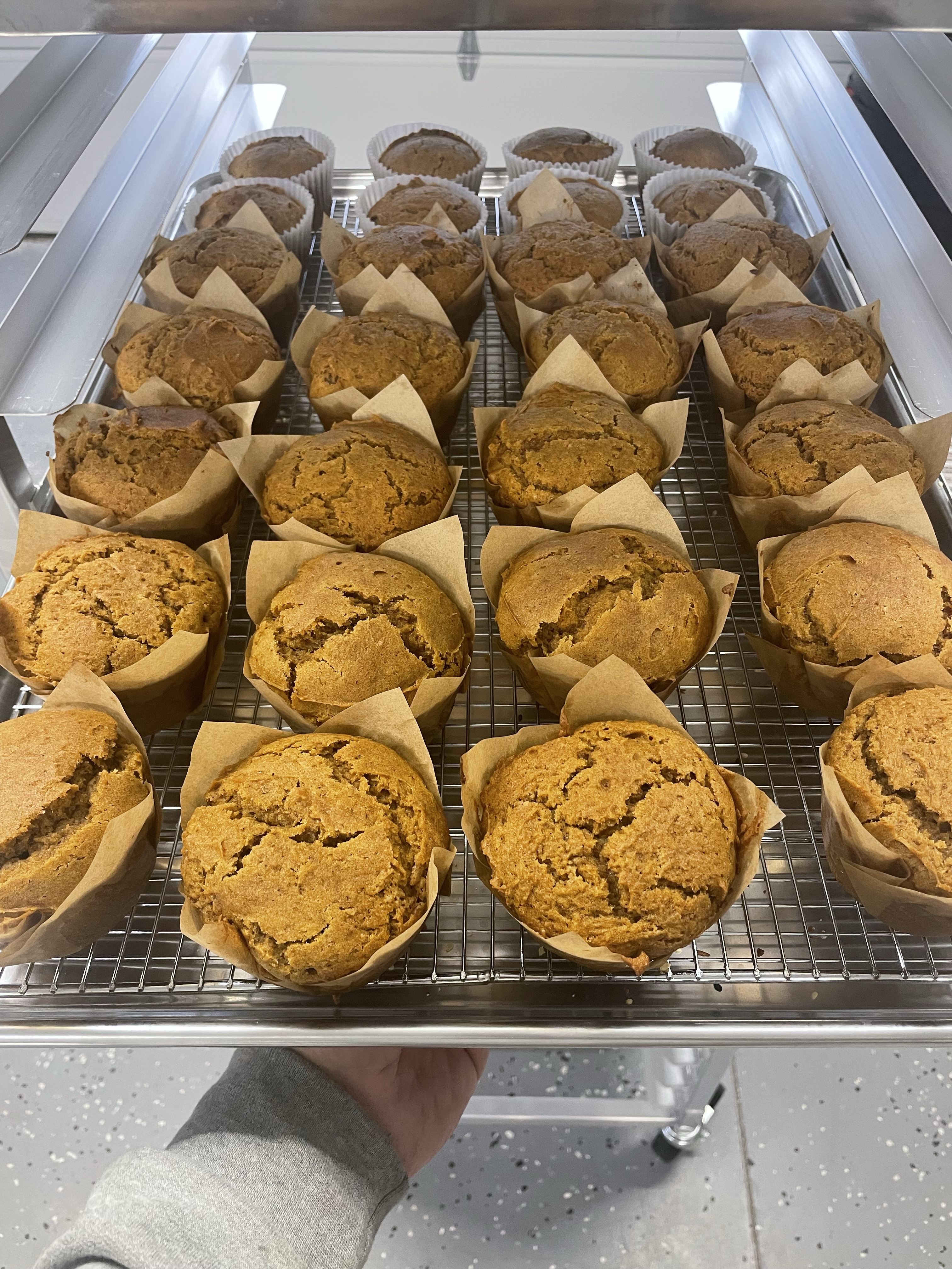 Pumpkin Muffins 