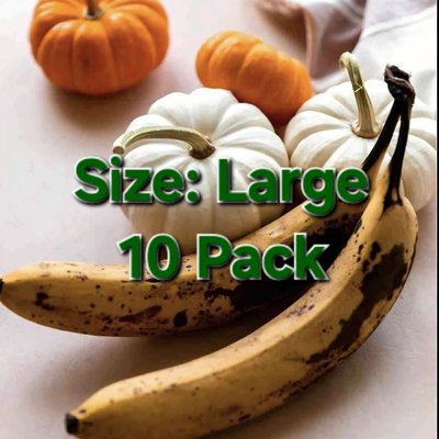 (Large 10pk) aPEELing Pumpkin 🎃🍌