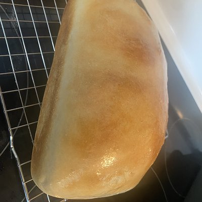 White Sandwich Bread 