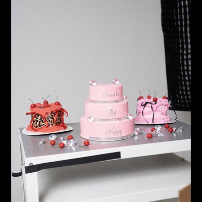 Photoshoot Prop Cake(Not real or edible)🍰🎂