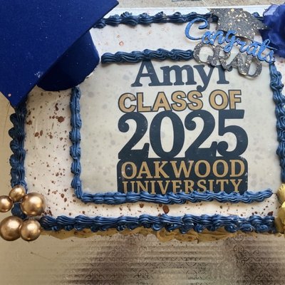 1/2 Sheet Cake (Single Layer)