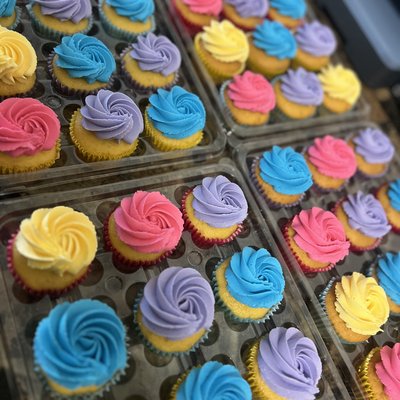 Cupcakes (No Decor) 