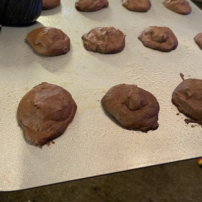 Sugar Free Chocolate Cookies