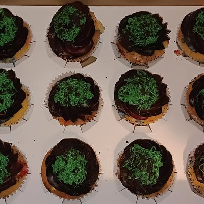 Dozen Cupcakes