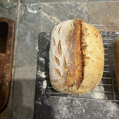 Everything Bagel Loaf