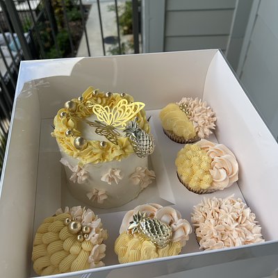 Bento Cupcake Box 4inch 