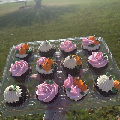 One Dozen Cupcakes