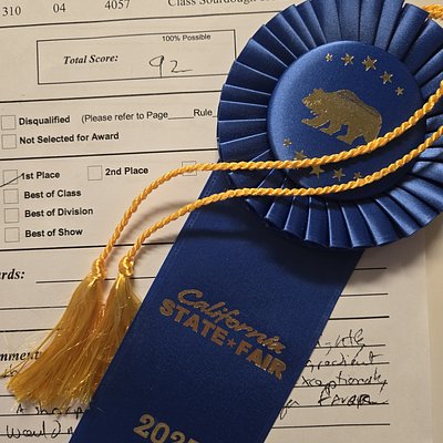 Light Sourdough Rye Bread