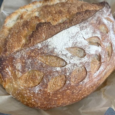 Sourdough Bread 