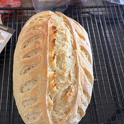Mini Plain Loaf 